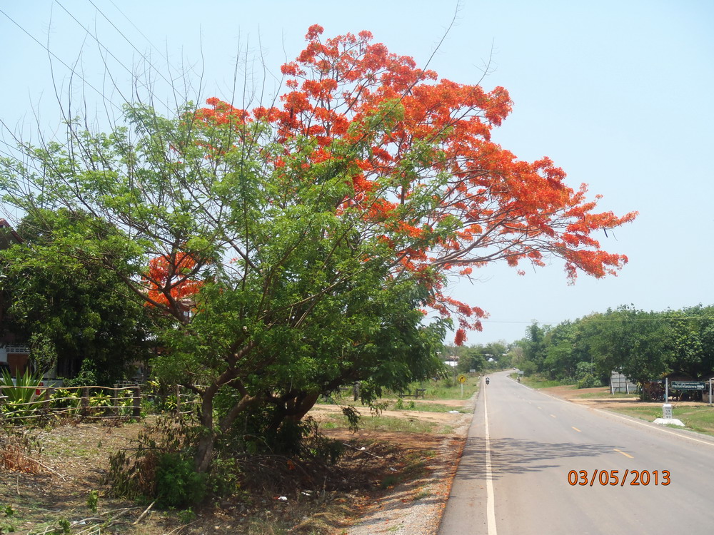 P5030404_ban_kham_bit.jpg