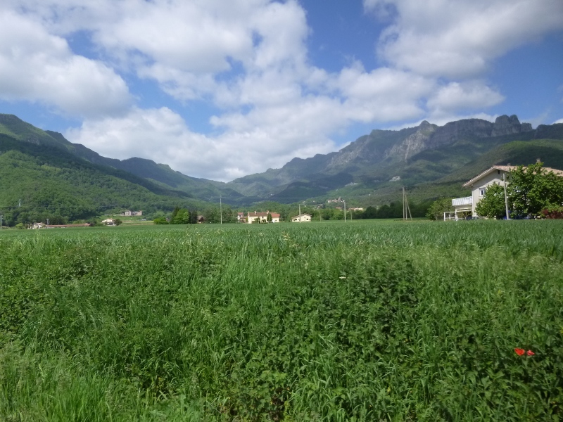85.JPG