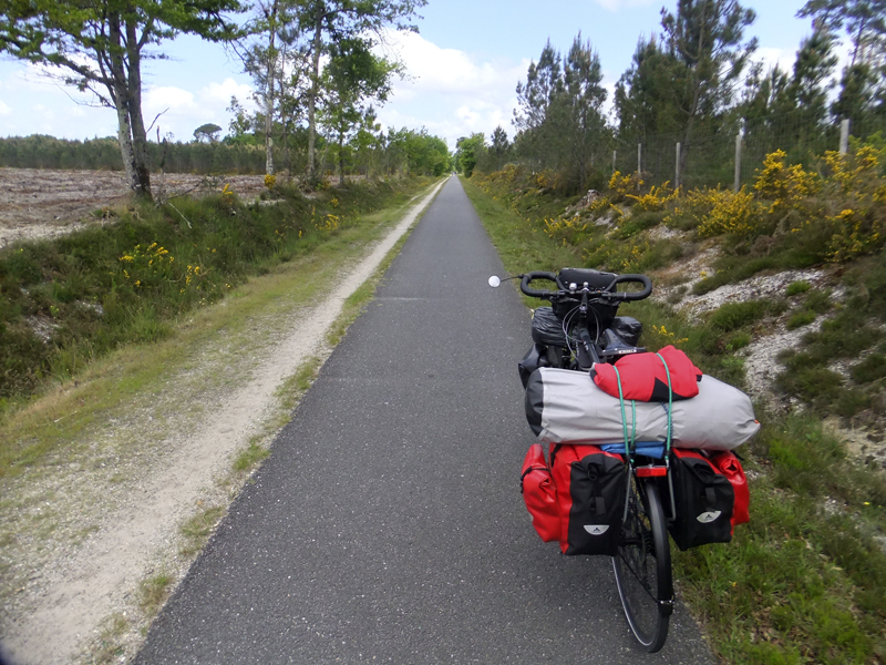 Piste cyclable dans les Landes