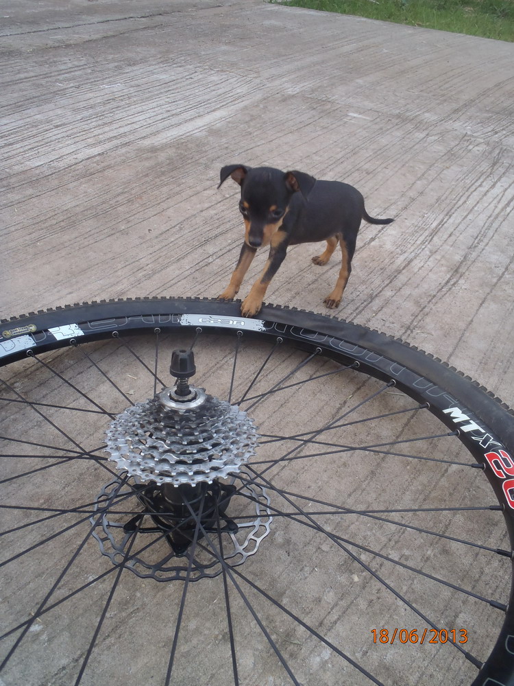 P6180567_roue_token.jpg