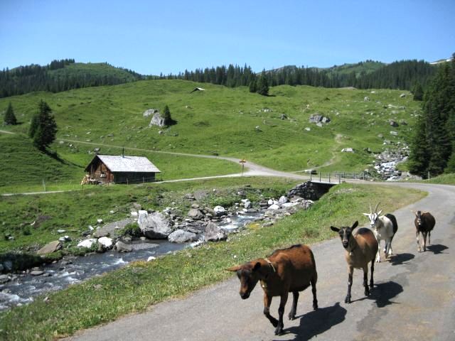 IMG_1333.JPG
