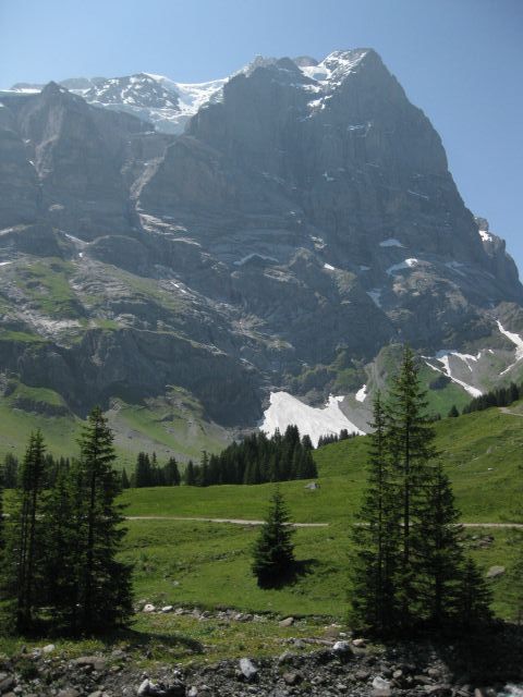 IMG_1332.JPG
