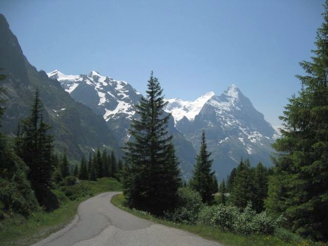 IMG_1342.JPG