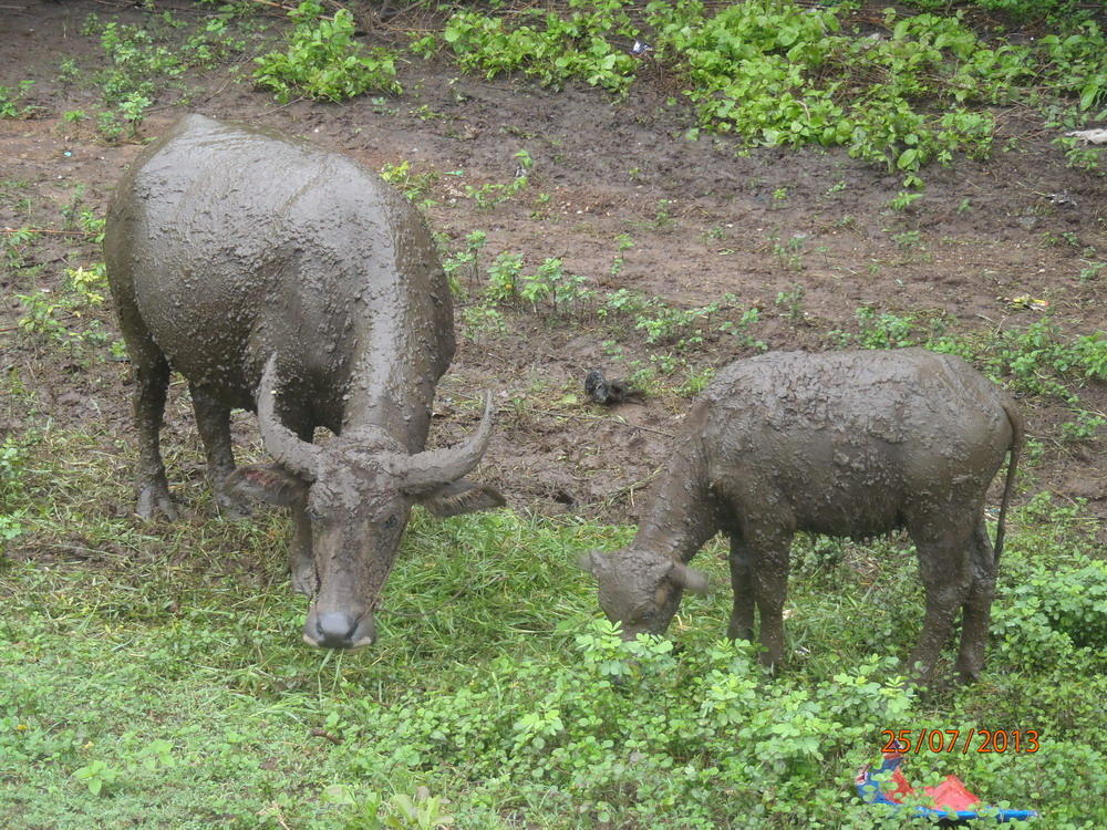 P7250665_ban_kham_or.jpg