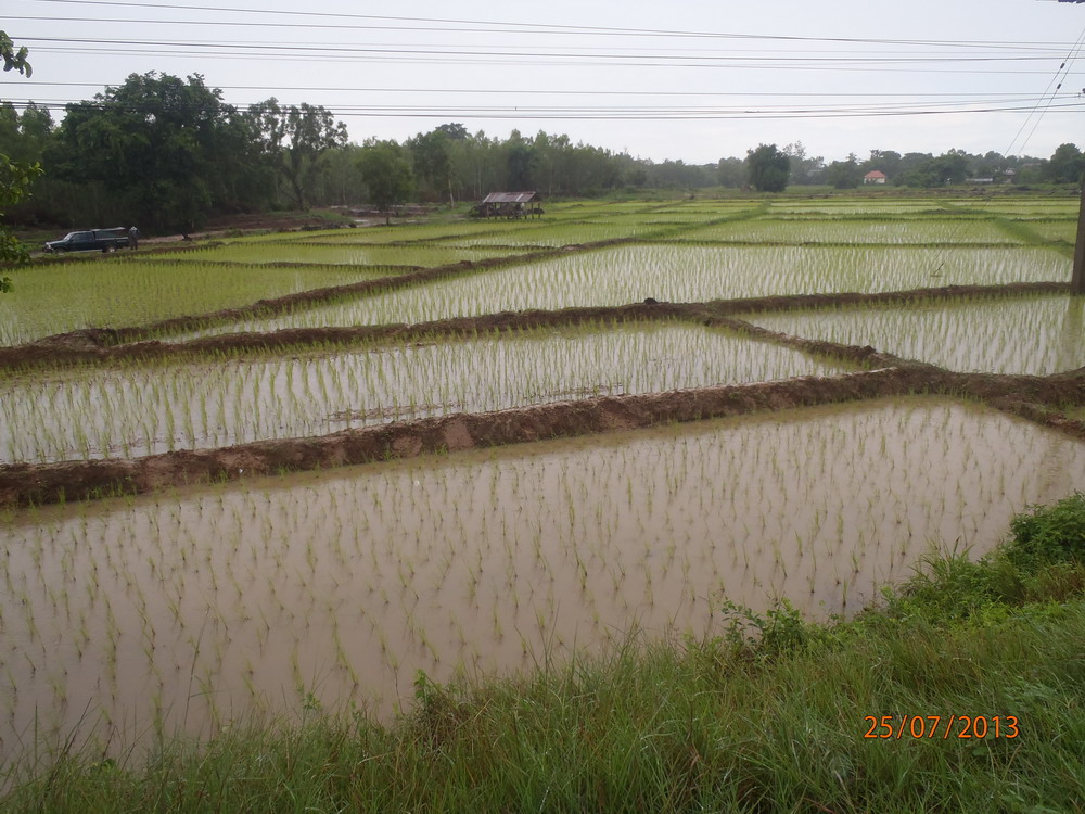 P7250667_ban_ya.jpg