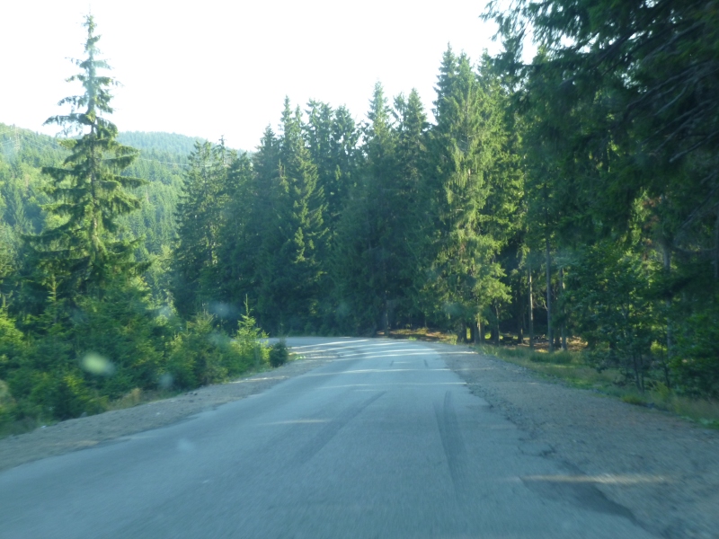 93.JPG