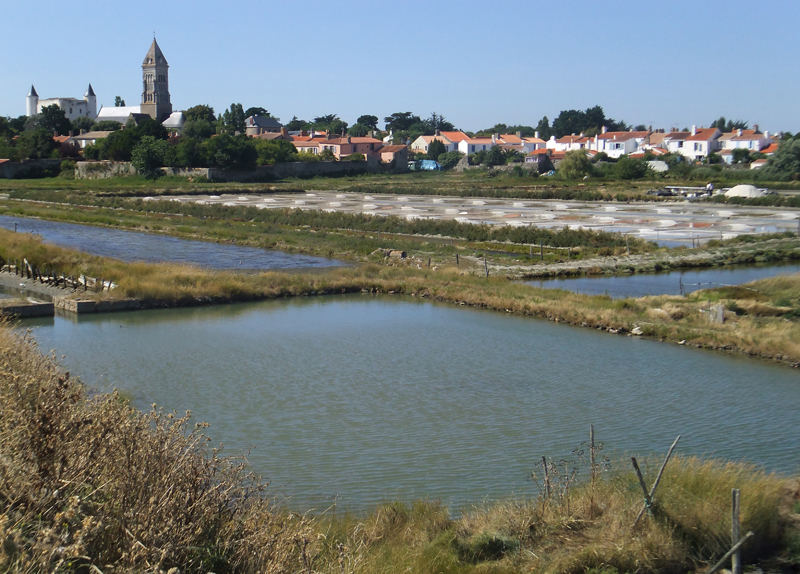 Noirmoutier en Ile