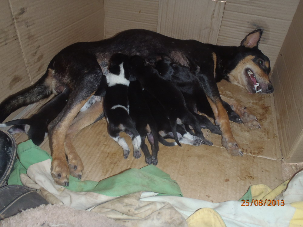 P8250812_ksr_am_et_babies.jpg