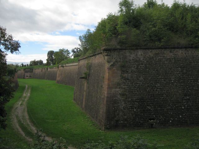 IMG_1443.jpg