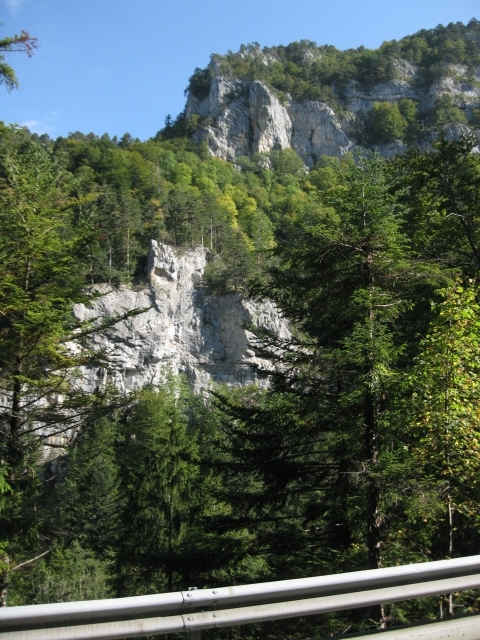 IMG_0004.JPG