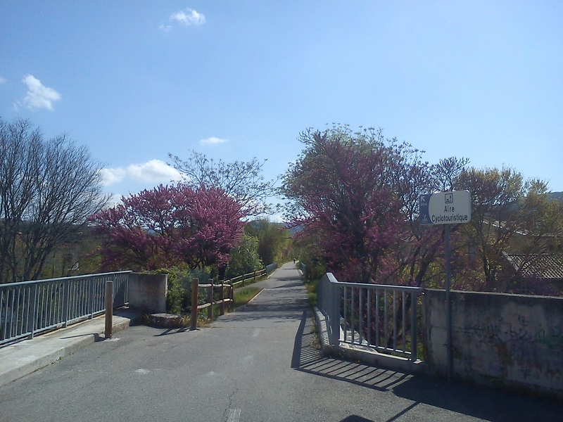 DSC00587b.jpg