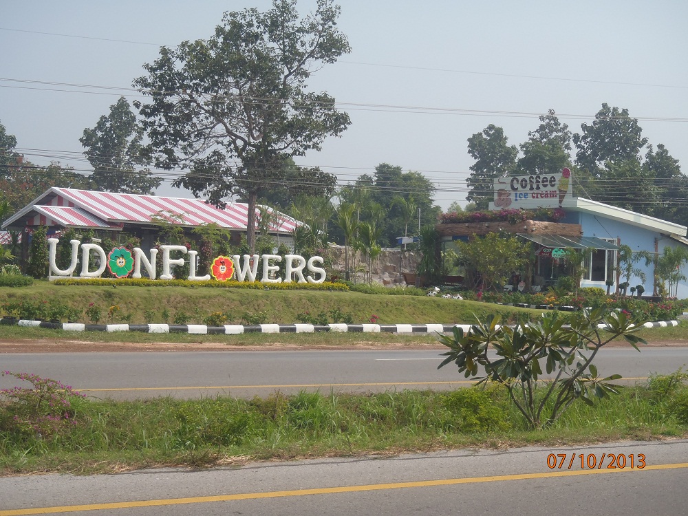 PA070968_route22_udon_flowers.jpg