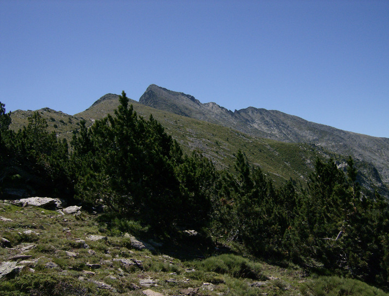 Le Canigou - versant des Cortalets.