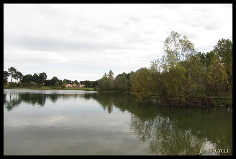 Bois de la Princesse