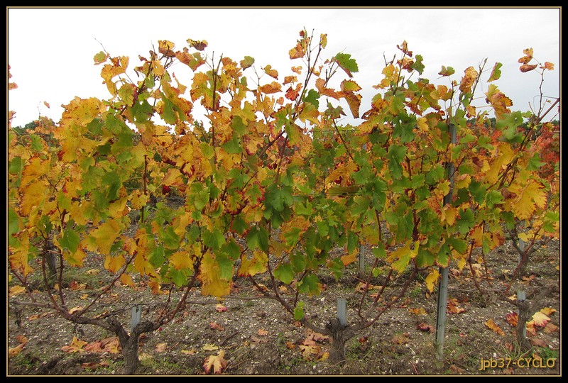 Couleurs d'automne