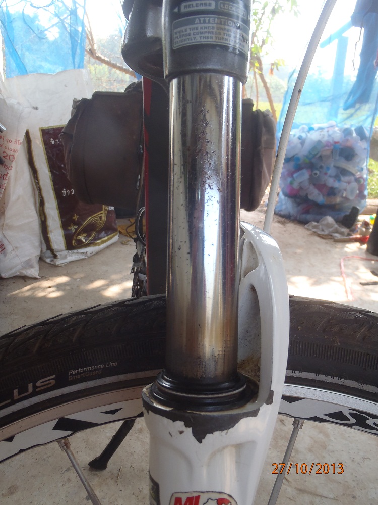 PA271106_wheeler_fourche_avant.jpg
