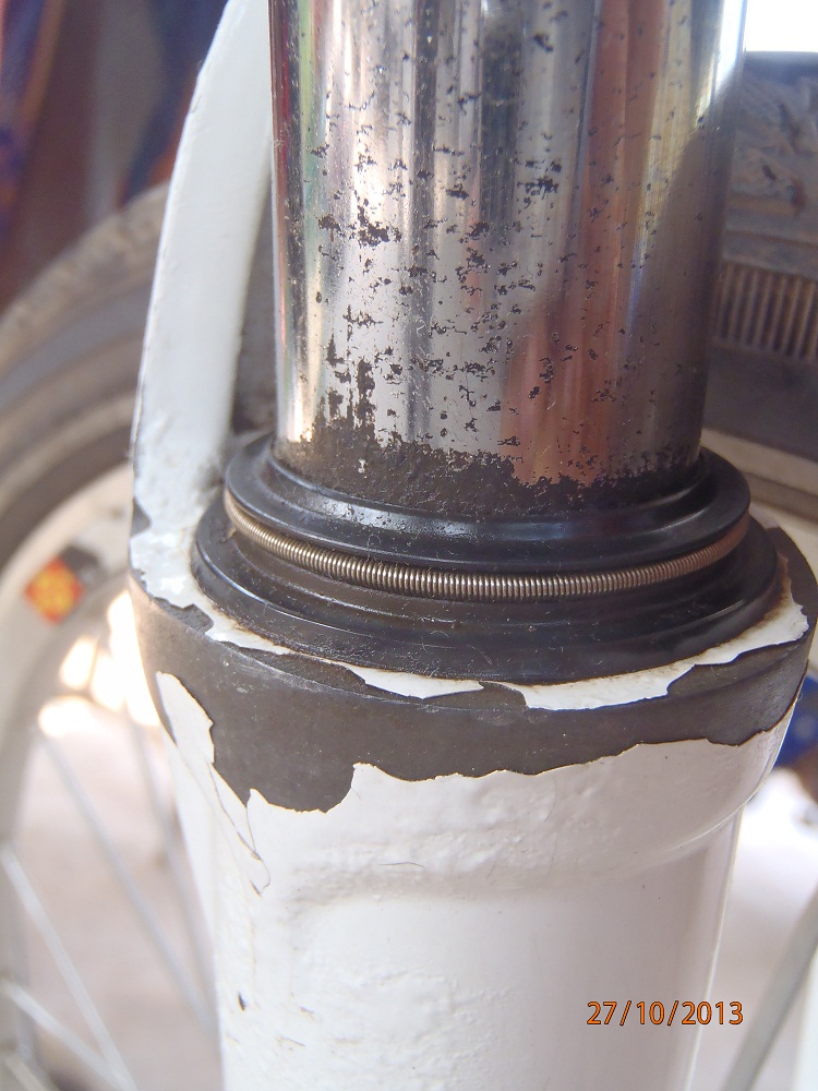 PA271107_wheeler_fourche_avant.jpg
