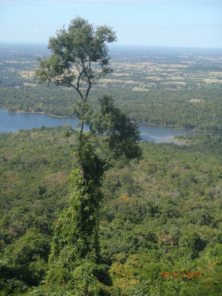 PB141186_phupalek_haut.jpg
