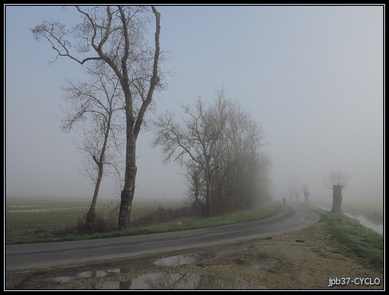 Dans la brume