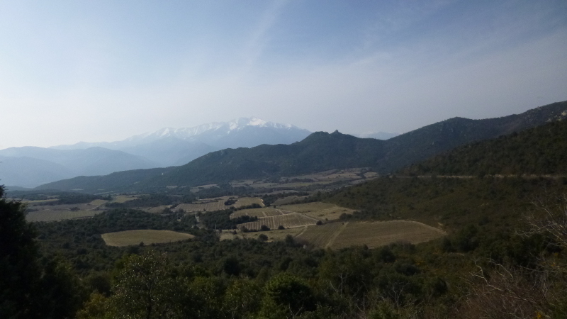 Paysage de garrigues