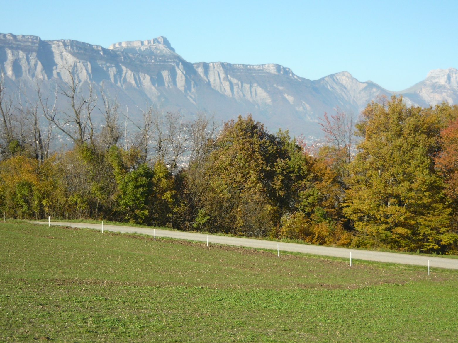 P1060244.JPG