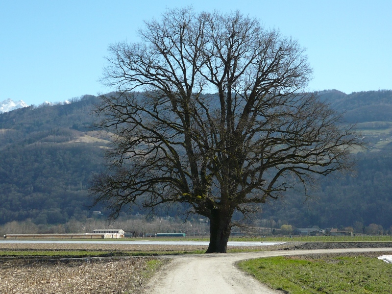P1070250V2.JPG