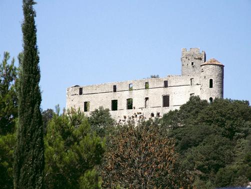 Le Château de Tornac bis, la ville est célèbre pour ses vignes.<br />Le Château lui a servi pendant la guerre de 39 à repoussé les troupes allemandes des maquis