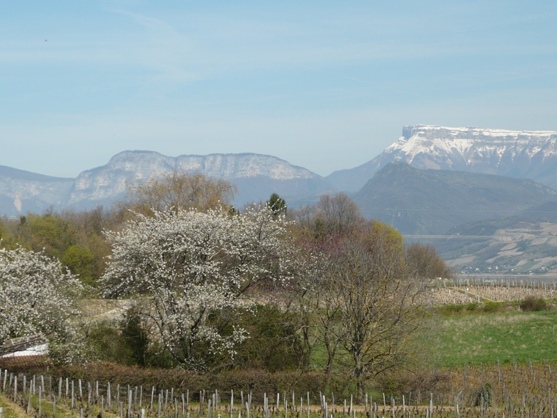 Bauges, notamment le mont revard