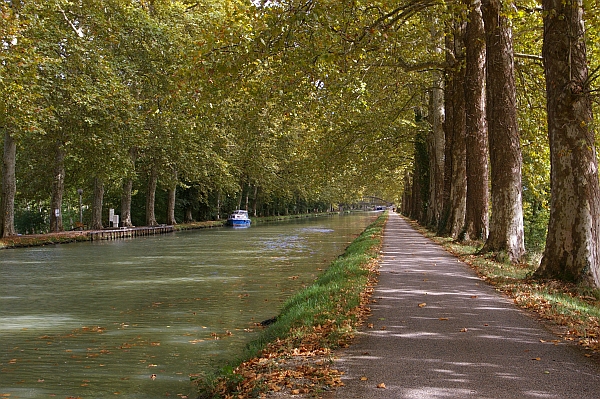 Piste le long du canal latéral de la Garonne