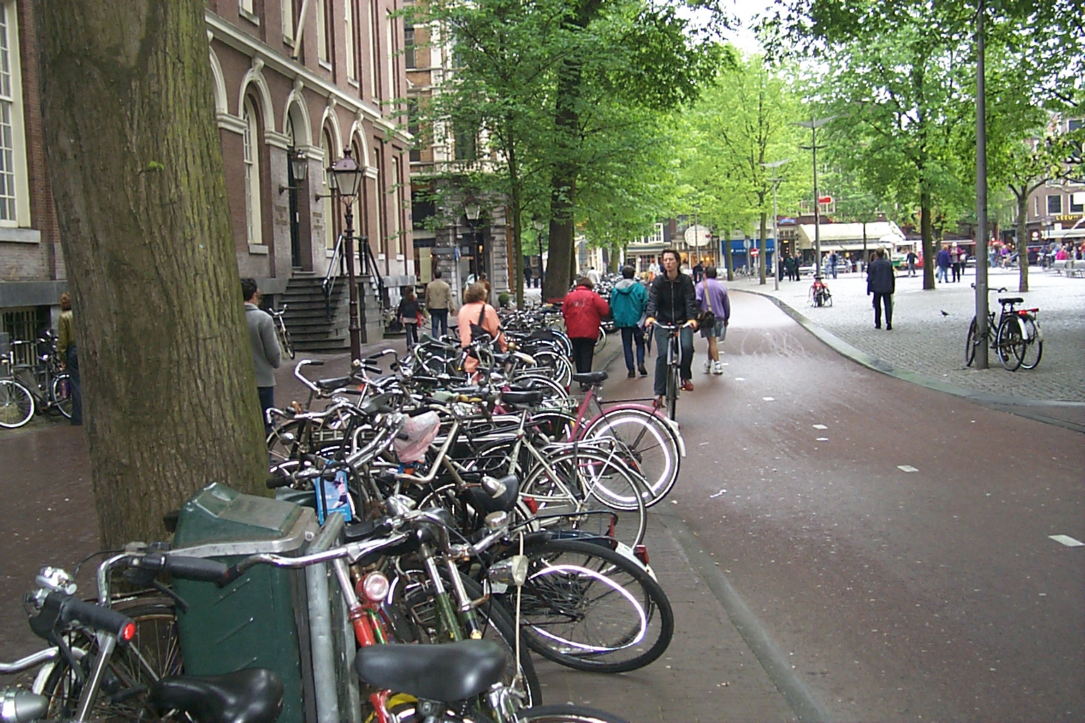 P0002354.JPG