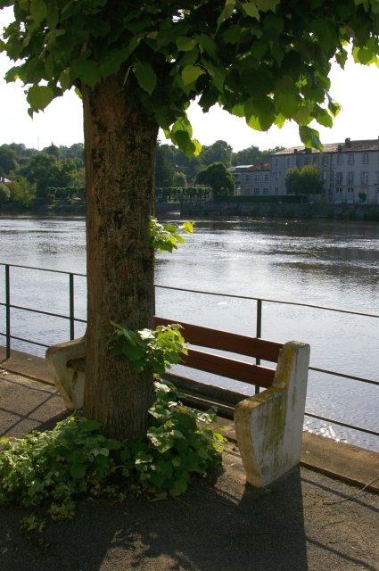 L' oeuf ou la poule ? Le banc... ou l'arbre ???