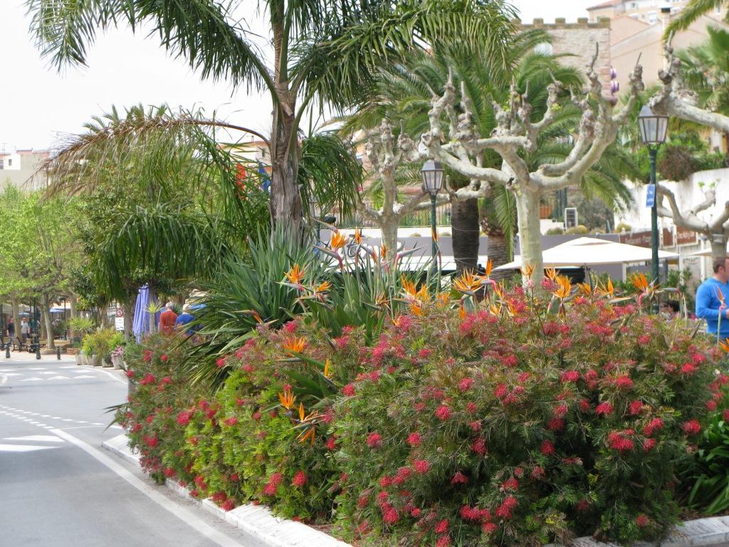 Le Lavandou