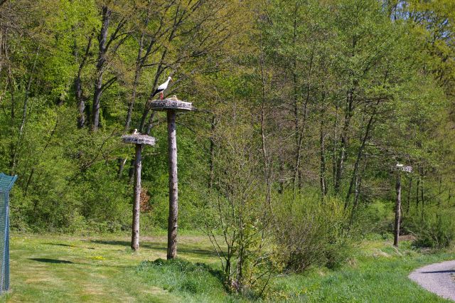 IMGP6912.JPG
