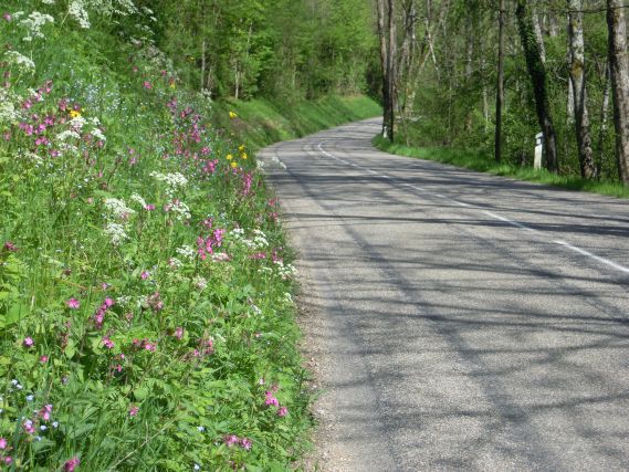 Route internationale