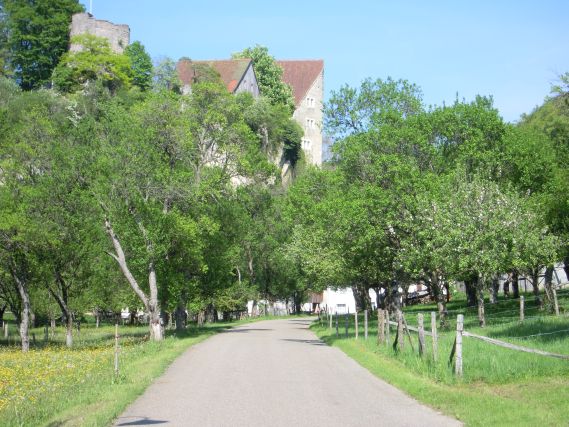Château de Pleujouse