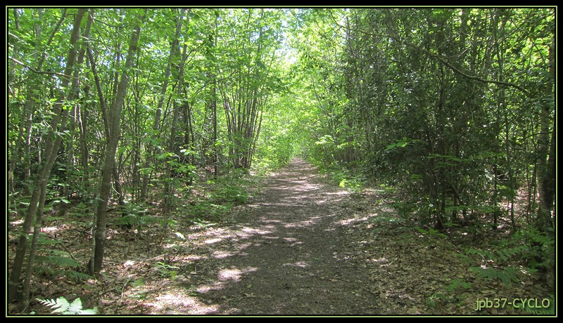 IMG_3365.jpg
