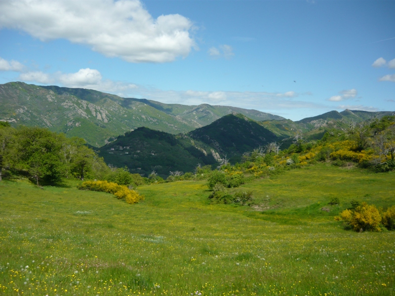 Paysage ardèchois
