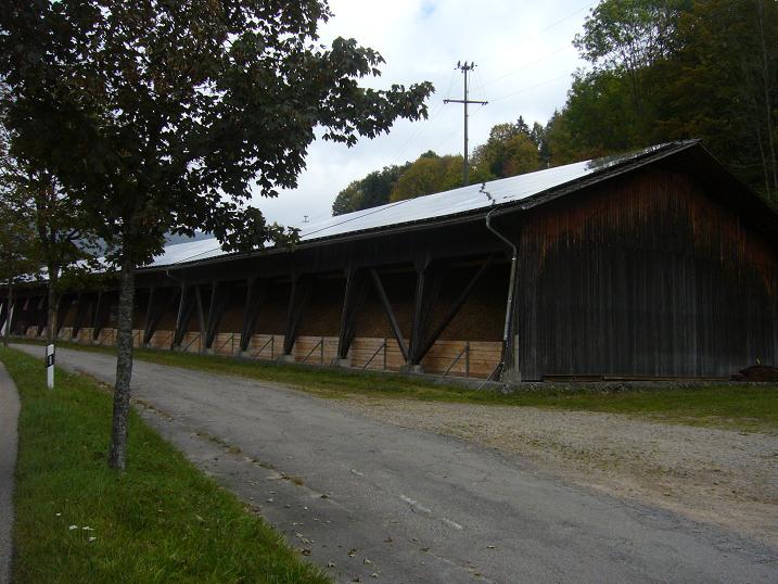 P1060614.JPG