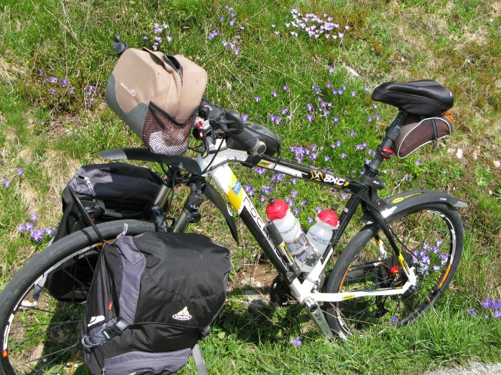 Bicyclette fleurie