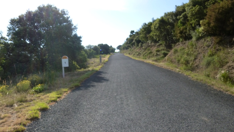 P1020199.JPG