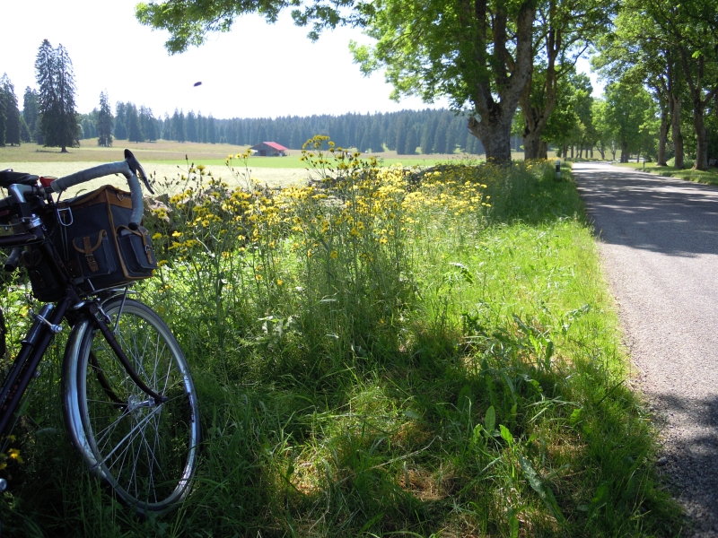 Route des Genevez