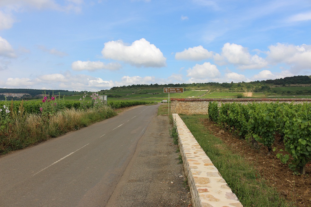 A la sortie de Puligny, en direction des coteaux.