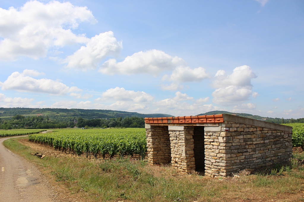 Cabotte