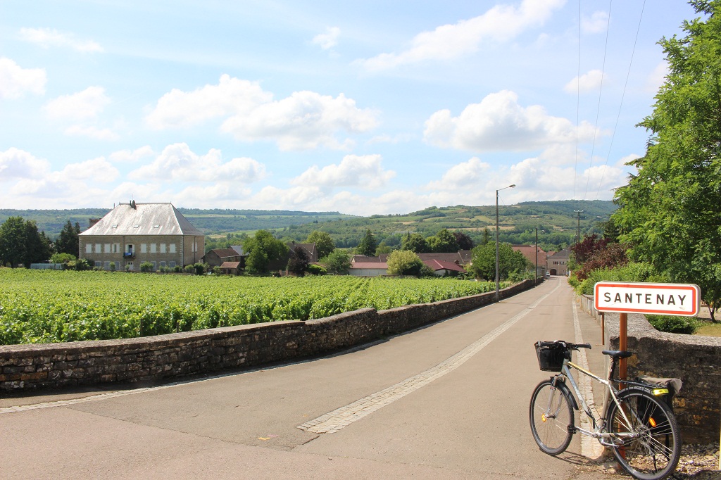 Santenay, fin de la Voie des Vignes