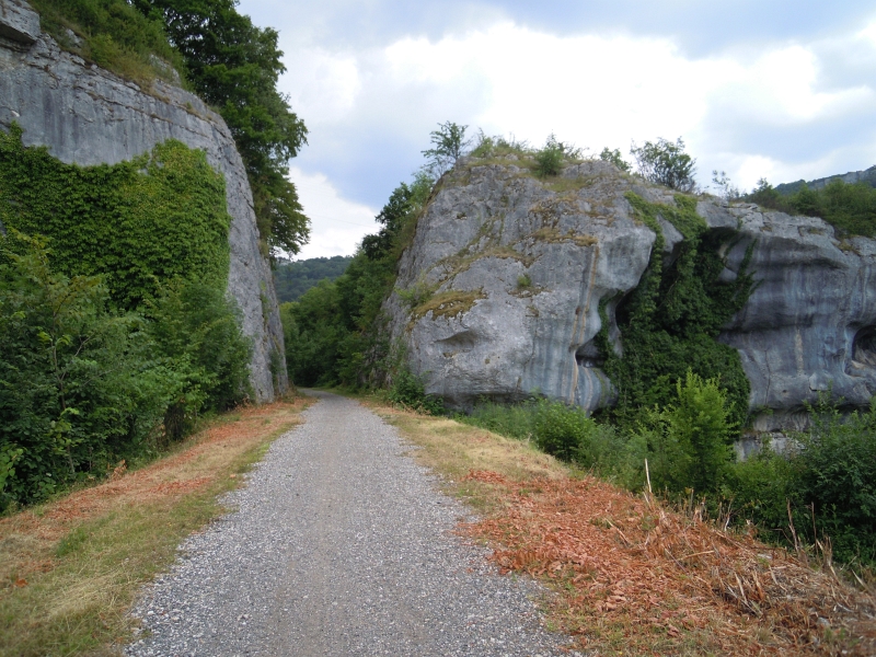 DSCN0129.JPG