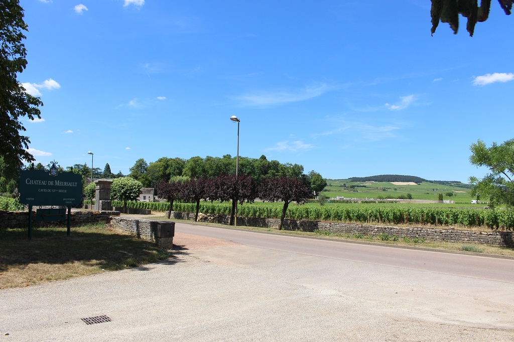Meursault, où je rejoins la Voie des Vignes.