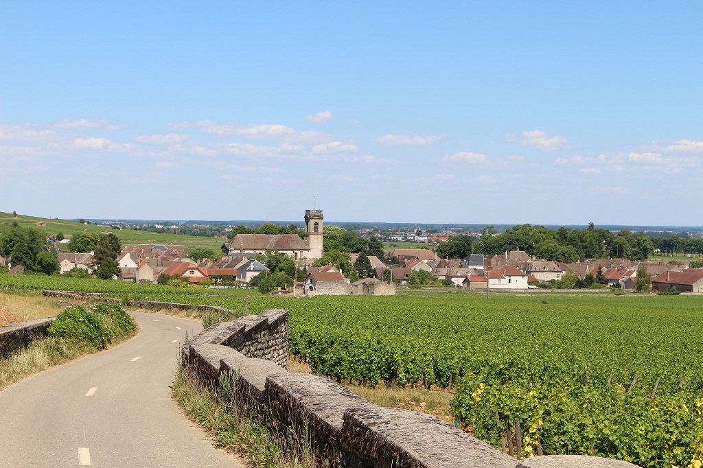 Voie des Vignes : descente vers Pommard.