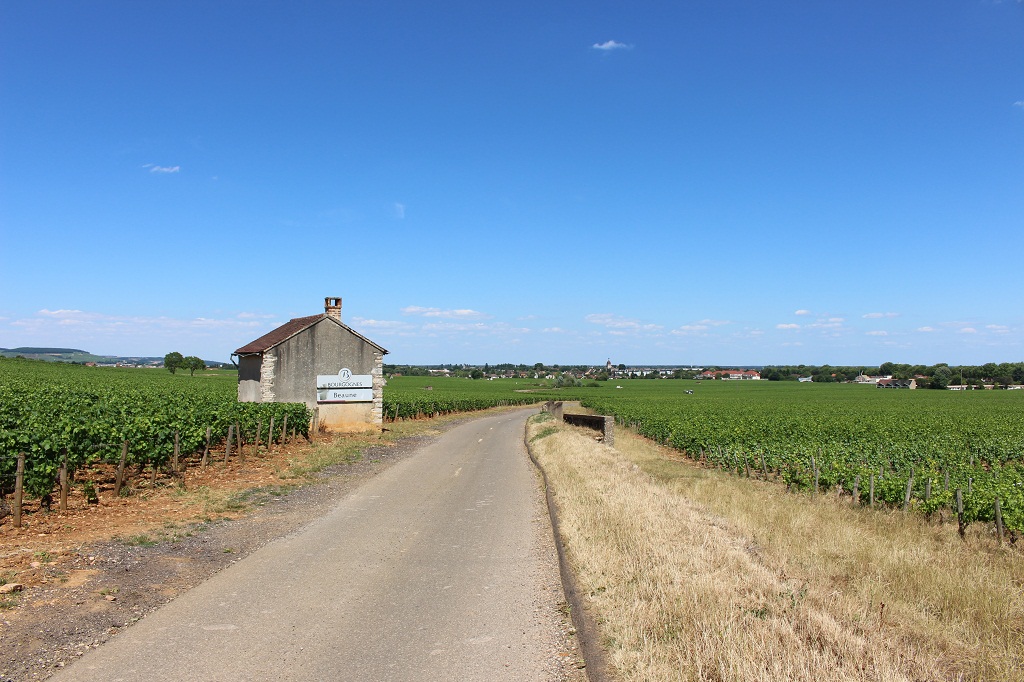 Voie des Vignes : descente vers Beaune.