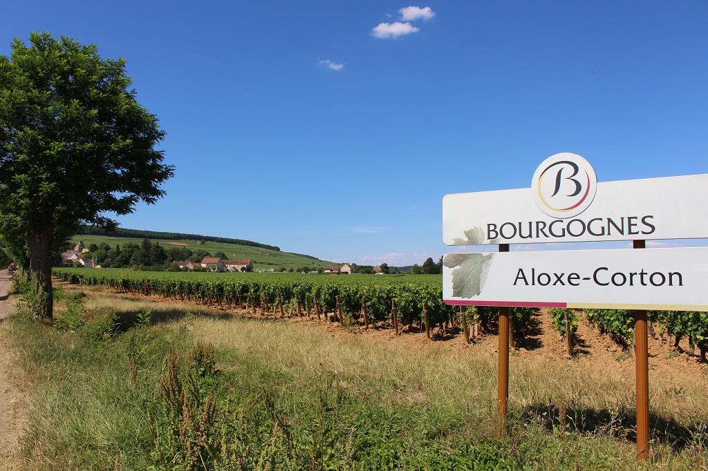 Aloxe-Corton, encore une très belle appellation.