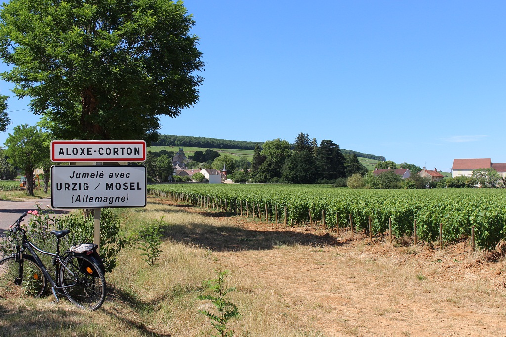 Le village d'Aloxe-Corton.